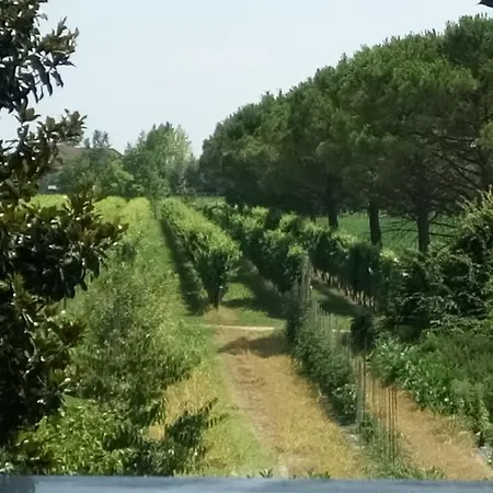 בית חווה La Pioppa