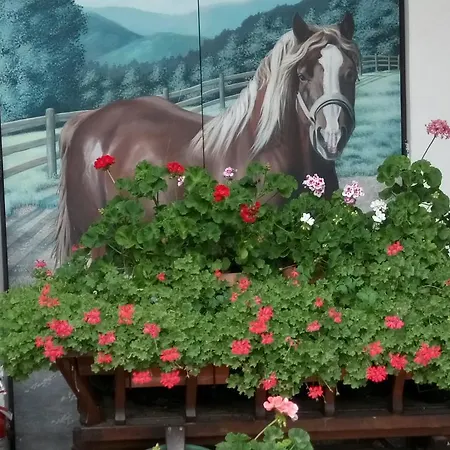 La Pioppa סאצ'ילה